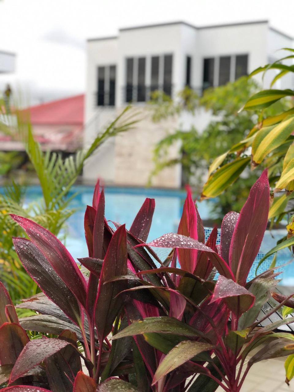 Tucan Residence Paramaribo Exterior foto